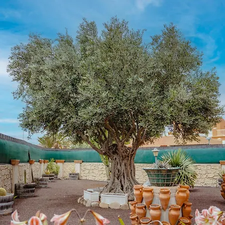 Olivo Private Pool By Holidays